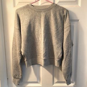 Cropped Crew Neck Dynamite